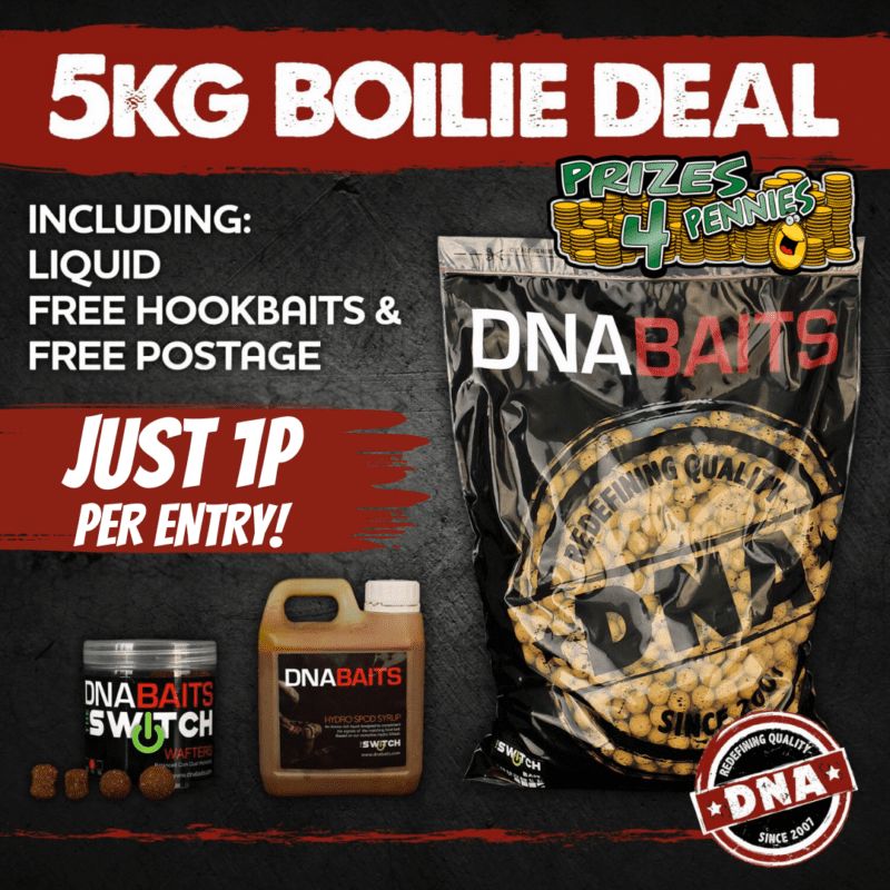 5KG DNA BAITS BUG BUNDLE