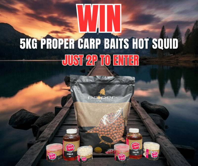 5KG PROPER CARP BAITS HOT SQUID