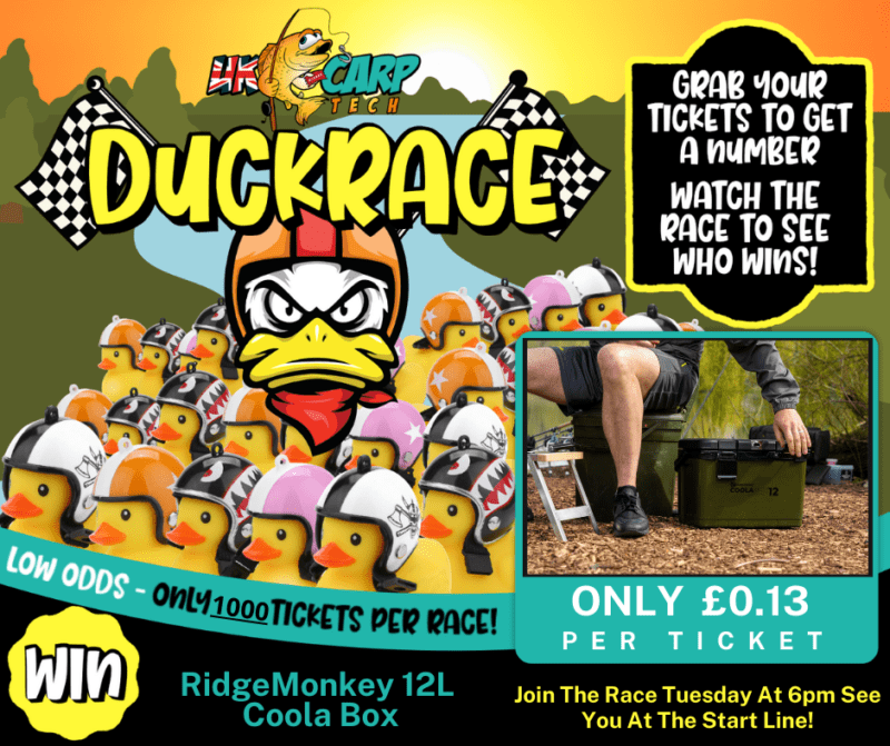 (Duck Race) RidgeMonkey 12L COOLABOX
