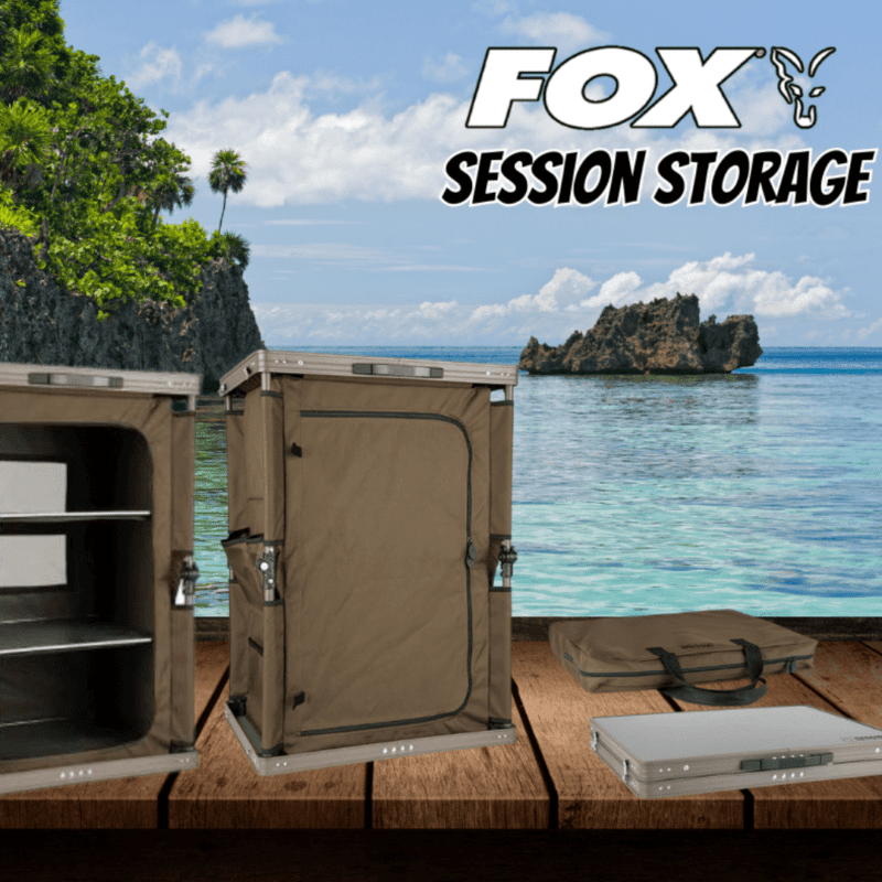 Fox Session Storage