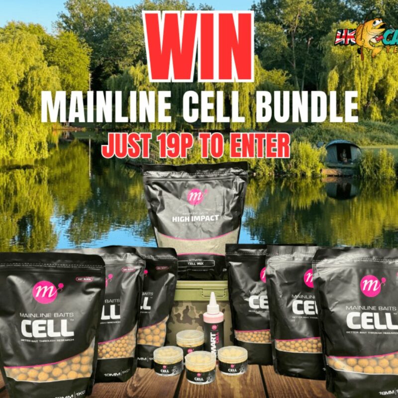 MAINLINE CELL BUNDLE