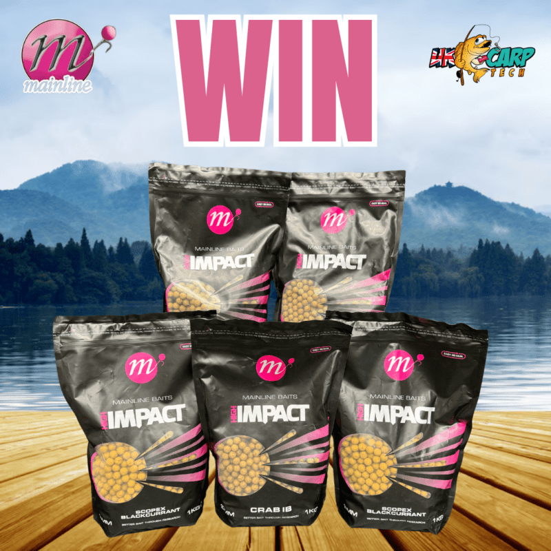 Win 5KG New Mainline Flavour's Scopex Blackcurrent & Crab ib