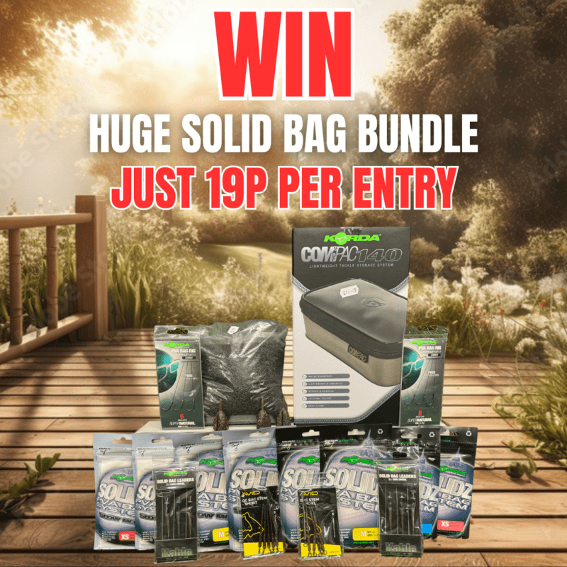 Huge Solid Bag Bundle