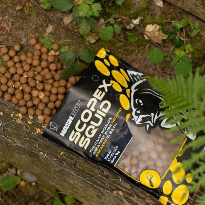 WIN 5KG OF NASH SCOPEX SQUID BOILIES