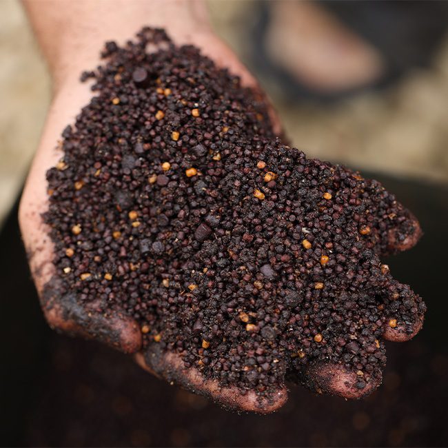 10KG STICKY BLOODWORM SPOD & BAG MIX