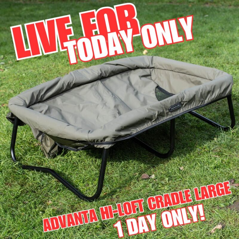 Advanta Hi-Loft Cradle Large (AUTO DRAW)