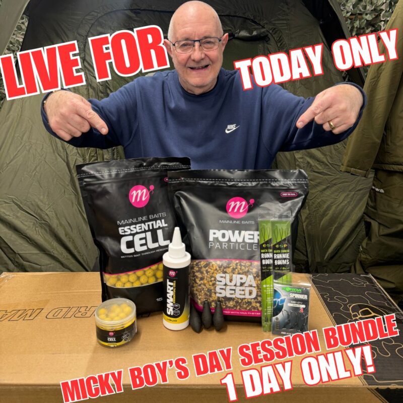 SUNDAY FUNDAY MICKY BOY’S DAY SESSION BUNDLE (AUTO DRAW)