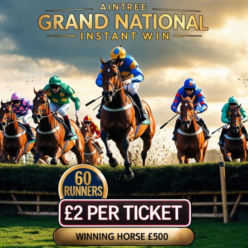 GRAND NATIONAL WINNING HORSE TAKES £500 CASH!