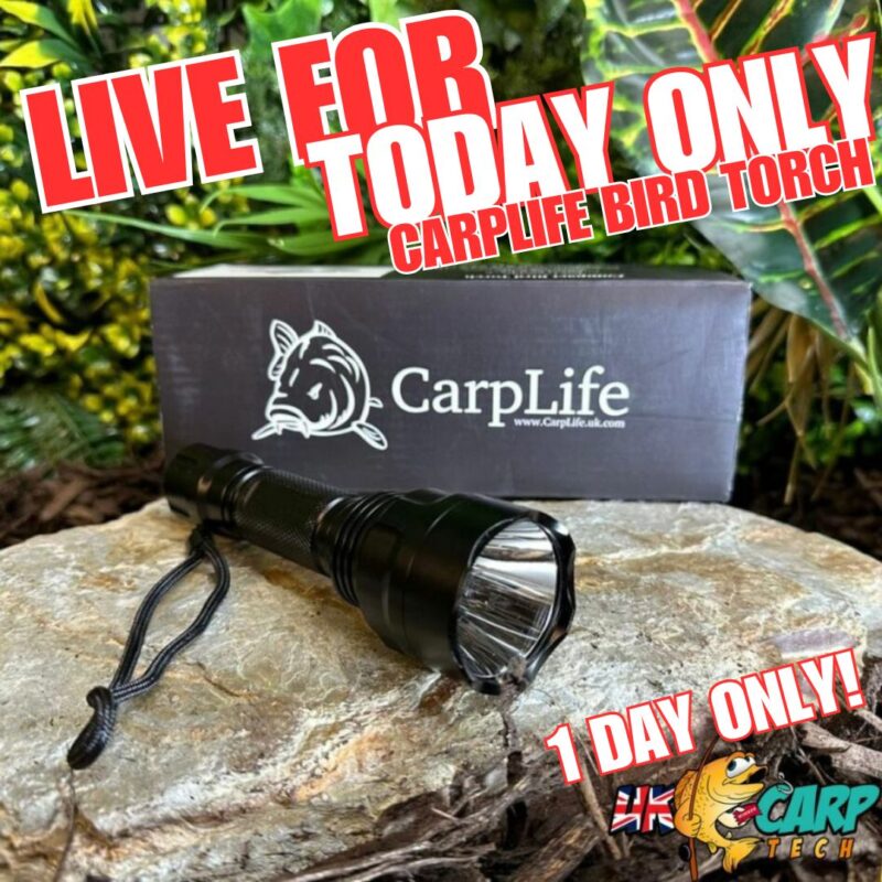 TODAY ONLY CARP LIFE BIRD TORCH (AUTO DRAW)