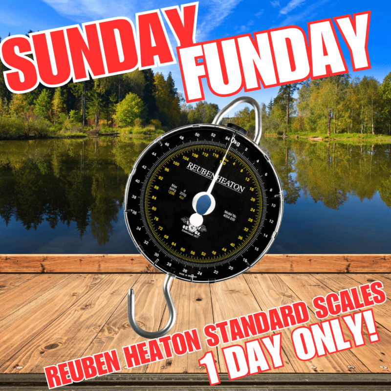 SUNDAY FUNDAY Reuben Heaton Standard Scales (AUTO DRAW)