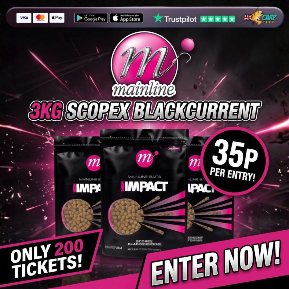 WIN 3KG MAINLINE SCOPEX BLACKCURRENT BOILIES