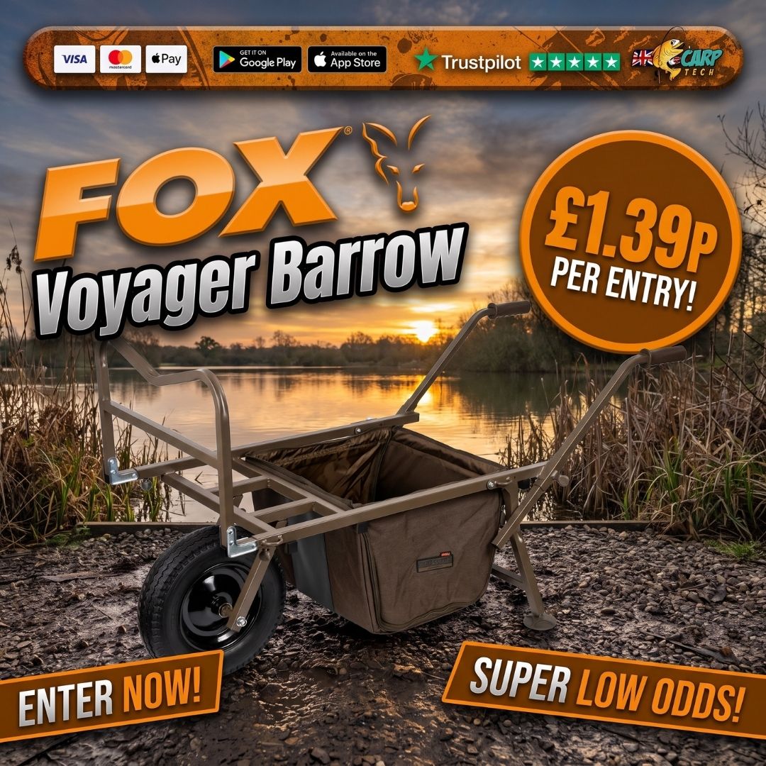 Low Odds Fox Voyager Barrow